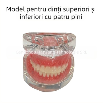 Model de implant dentar pentru practică – maxilar superior și inferior, jumătate de arcadă cu 2 sau 4 implanturi