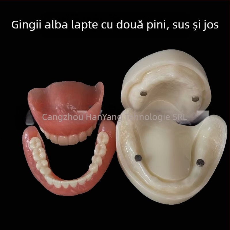 Model de implant dentar pentru practică – maxilar superior și inferior, jumătate de arcadă cu 2 sau 4 implanturi