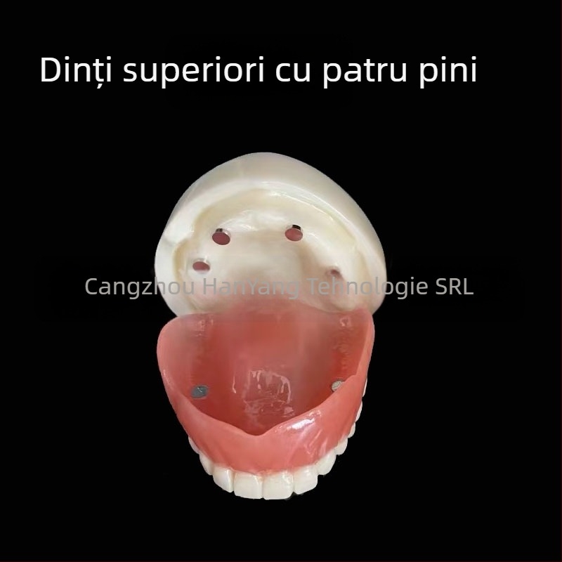 Model de implant dentar pentru practică – maxilar superior și inferior, jumătate de arcadă cu 2 sau 4 implanturi