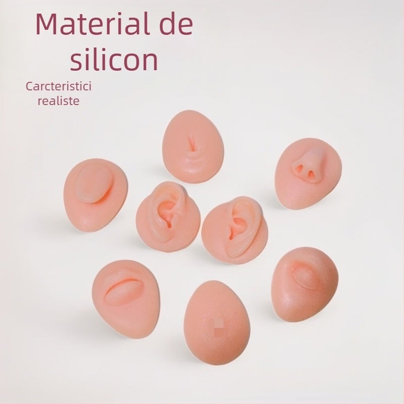 Model din silicon al trăsăturilor faciale umane pentru învățare – urechi, nas, gură, limbă, ombilic, obiect expozițional cu formă neregulată, stil modern minimalist, B-01