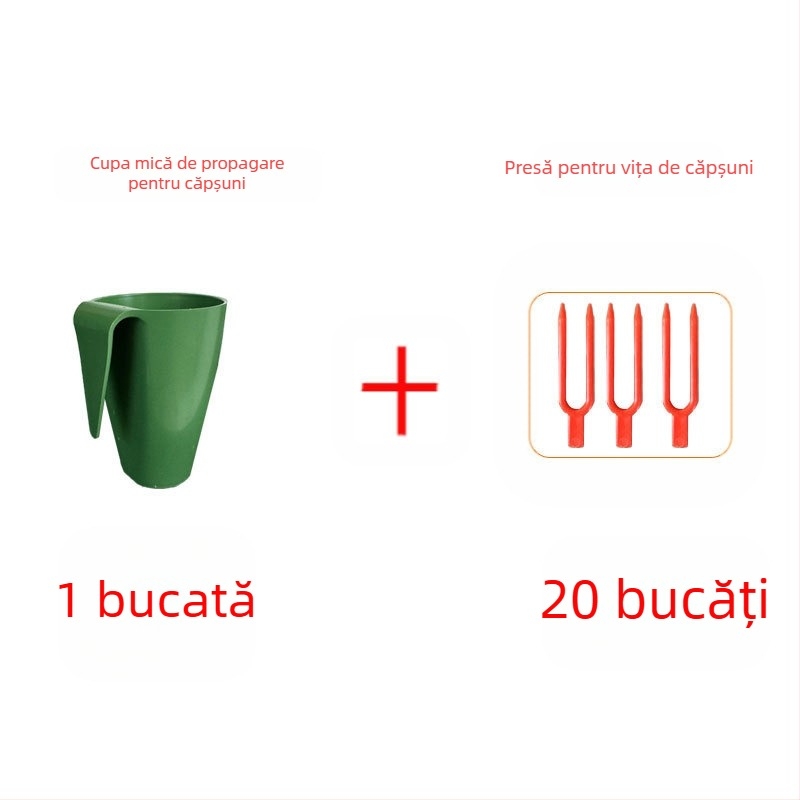 Cupă de înmulțire a căpșunilor – plastic, pentru propagarea căpșunilor și tulpini târâte