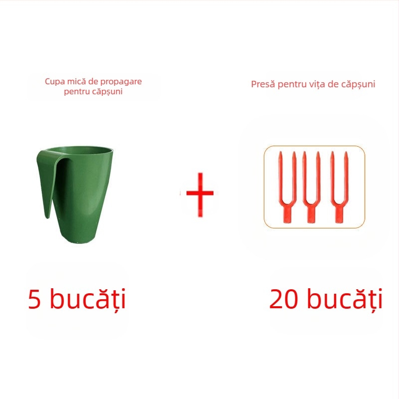 Cupă de înmulțire a căpșunilor – plastic, pentru propagarea căpșunilor și tulpini târâte