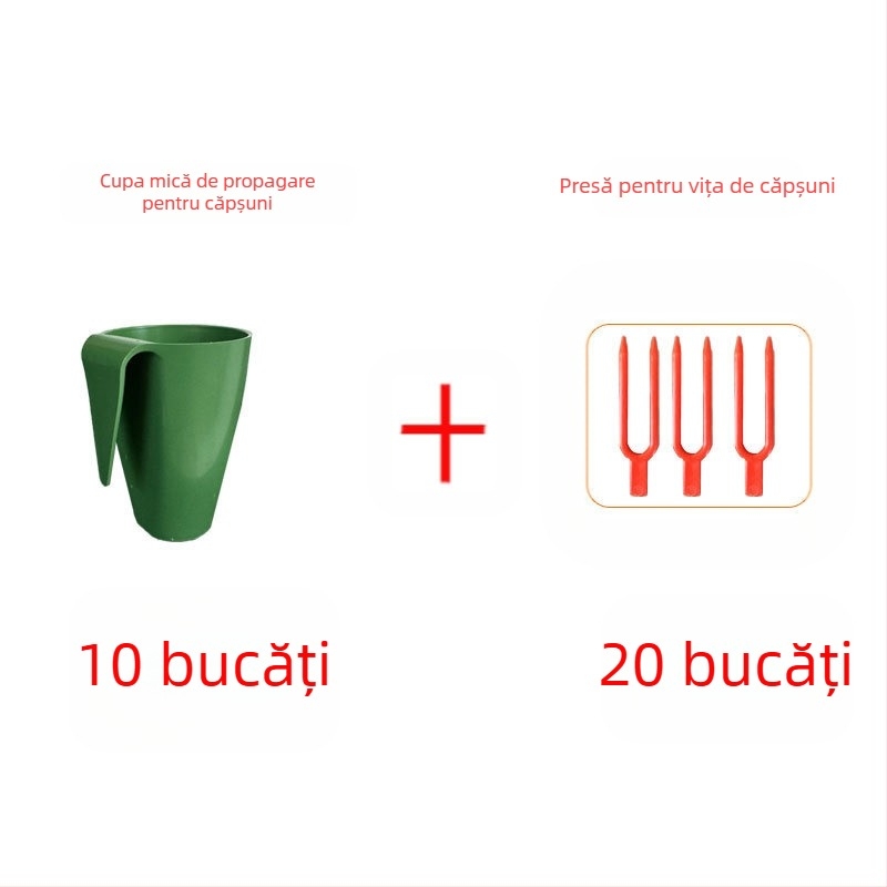 Cupă de înmulțire a căpșunilor – plastic, pentru propagarea căpșunilor și tulpini târâte