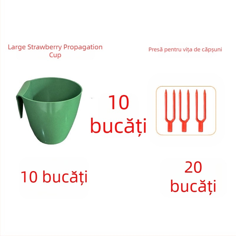 Cupă de înmulțire a căpșunilor – plastic, pentru propagarea căpșunilor și tulpini târâte