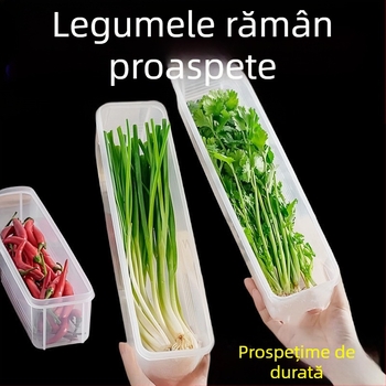 Cutie de depozitare în frigider pentru coriandru și ceapă verde — stil nordic, metal argintiu, formă neconvențională