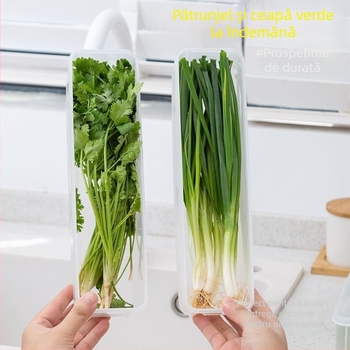 Cutie de depozitare în frigider pentru coriandru și ceapă verde — stil nordic, metal argintiu, formă neconvențională