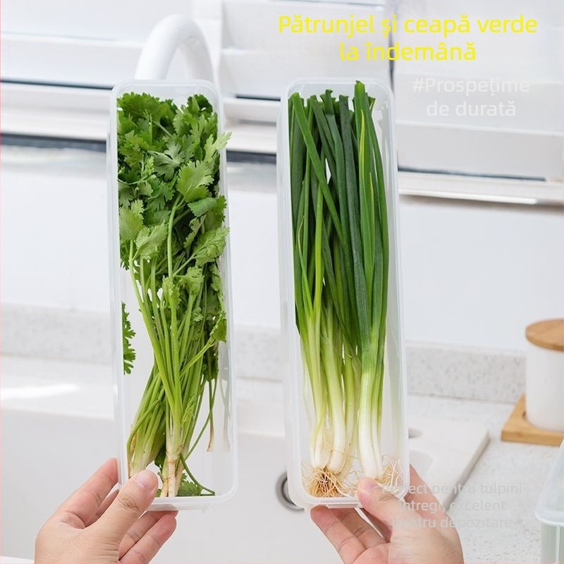 Cutie de depozitare în frigider pentru coriandru și ceapă verde — stil nordic, metal argintiu, formă neconvențională