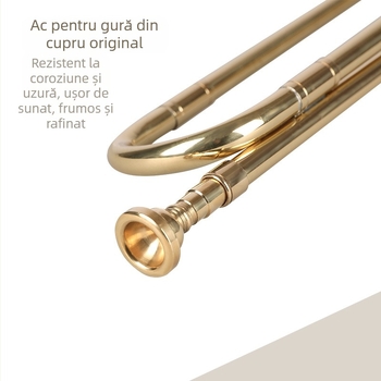 Trâmbiță în Bb, Haichuan Instrumente Muzicale, Finisaj Lacquer Gold, Model Lacquer Gold Youth No., Greutate aproximativ 260 g