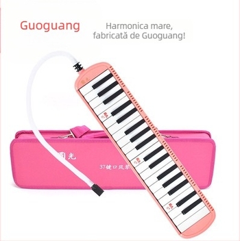 Harmonica QM37A, 37 taste, ABS corp, placă din oțel inoxidabil