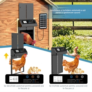 Ușă automată pentru cote de găini, cu alimentare solară, oțel inoxidabil, ridicare temporizată inteligentă (Material: Oțel inoxidabil; Brand: aibei; Import: Nu)