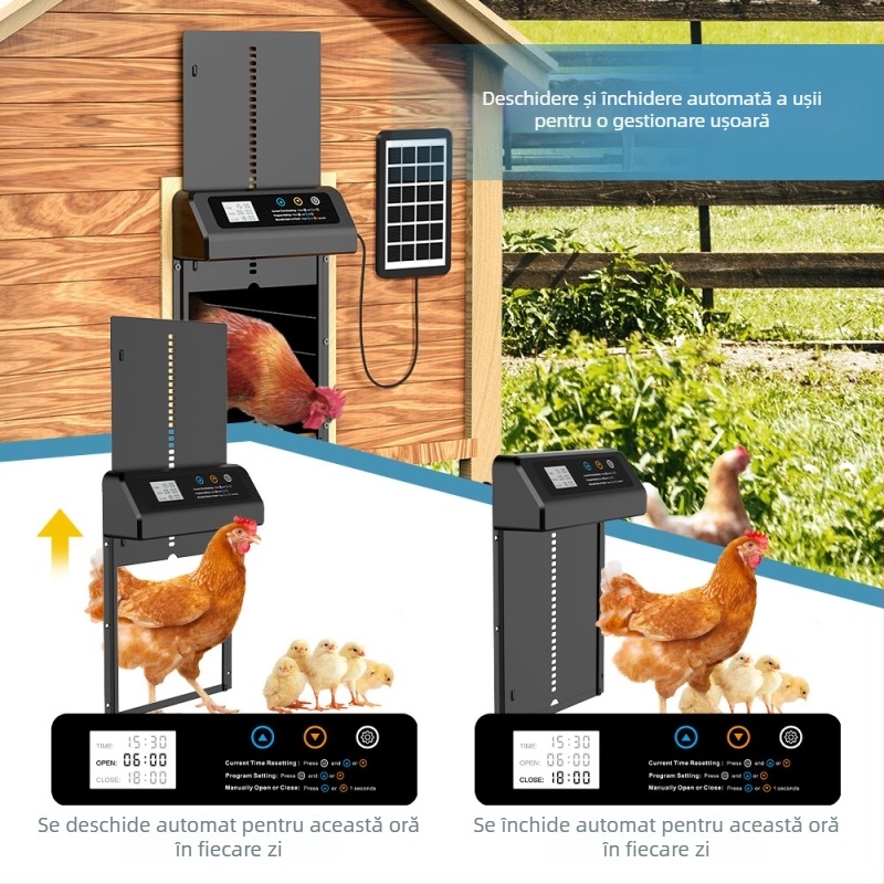 Ușă automată pentru cote de găini, cu alimentare solară, oțel inoxidabil, ridicare temporizată inteligentă (Material: Oțel inoxidabil; Brand: aibei; Import: Nu)