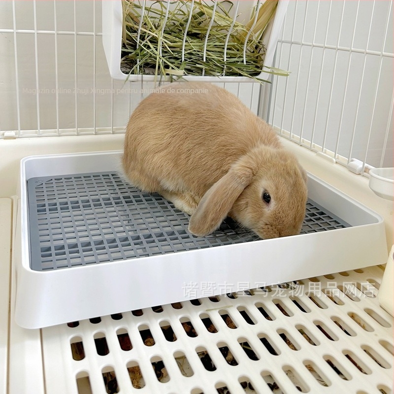 Toaletă-urină pentru porcușorul de Guineea și iepure — Neimportat