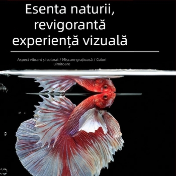 Pește tropical decorativ – Origine: Altele – Import: Nu – Brand: Fără marcă – Specie: Pește