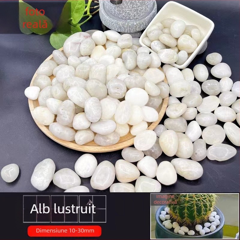 Pietre de râu pentru pardoseala grădinii și amenajări de acvariu; include pietre Rain Flower și pietre naturale mici; Material: pietriș; Tip: Altul; Potrivit pentru decorarea grădinii și amenajarea acvariului