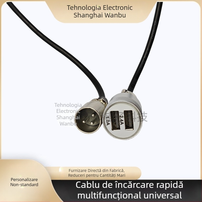 Linie de conversie cu cap CANON către interfața USB de încărcare, pentru baterii Li‑ion, 1000 W