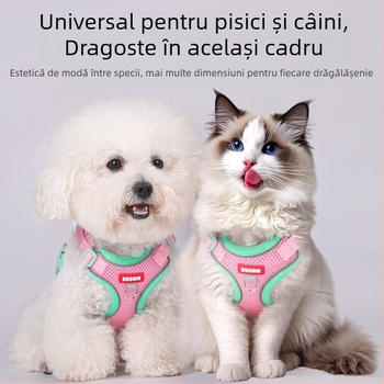 Belu Curea piept pentru animale – Poliester, reglabilă, pentru pisici, cutie cu 240 buc.