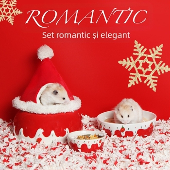 Vas ceramic pentru hamster, brand BUCATSTATE, accesorii pentru animale de companie