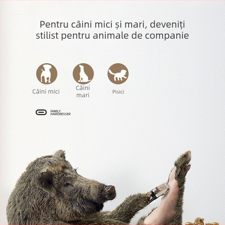 Oaks A5 Mașină de tuns pentru animale de companie – încărcabilă, 5W, baterie încorporată, cap de tăiere detașabil și lavabil, potrivită pentru câini și pisici