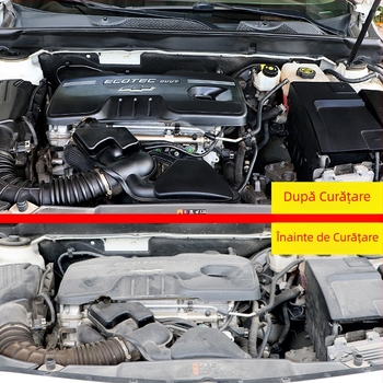 Bauci agent de curățare pentru compartimentul extern al motorului, elimină reziduurile de ulei greu, durată de valabilitate trei ani, în conformitate cu standardele internaționale