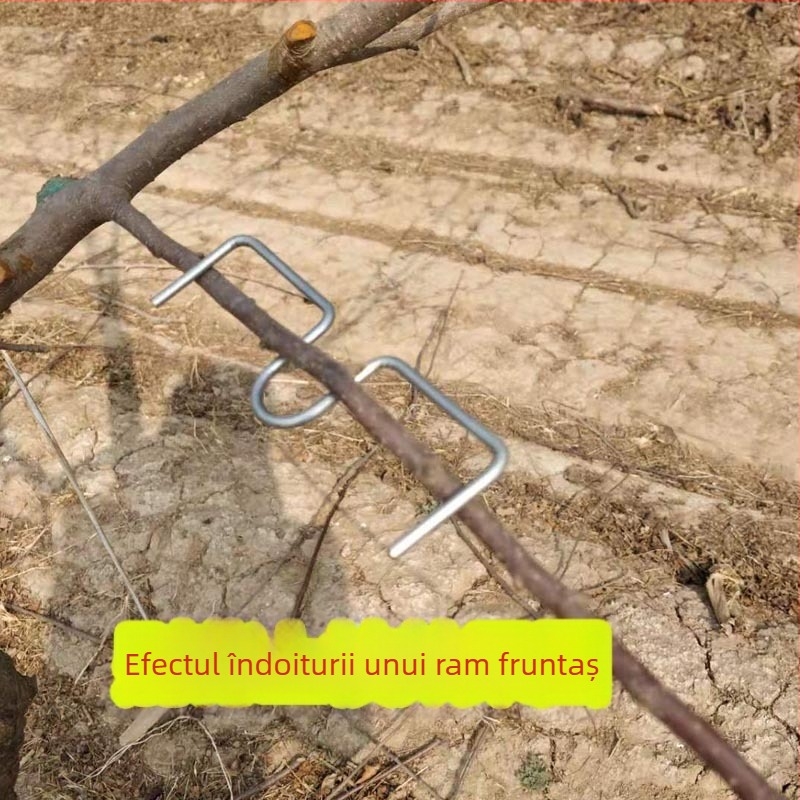 Set de trei piese pentru presarea și modelarea ramurilor, unelte de bonsai pentru trandafiri, copaci în formă M, citrice și rodii