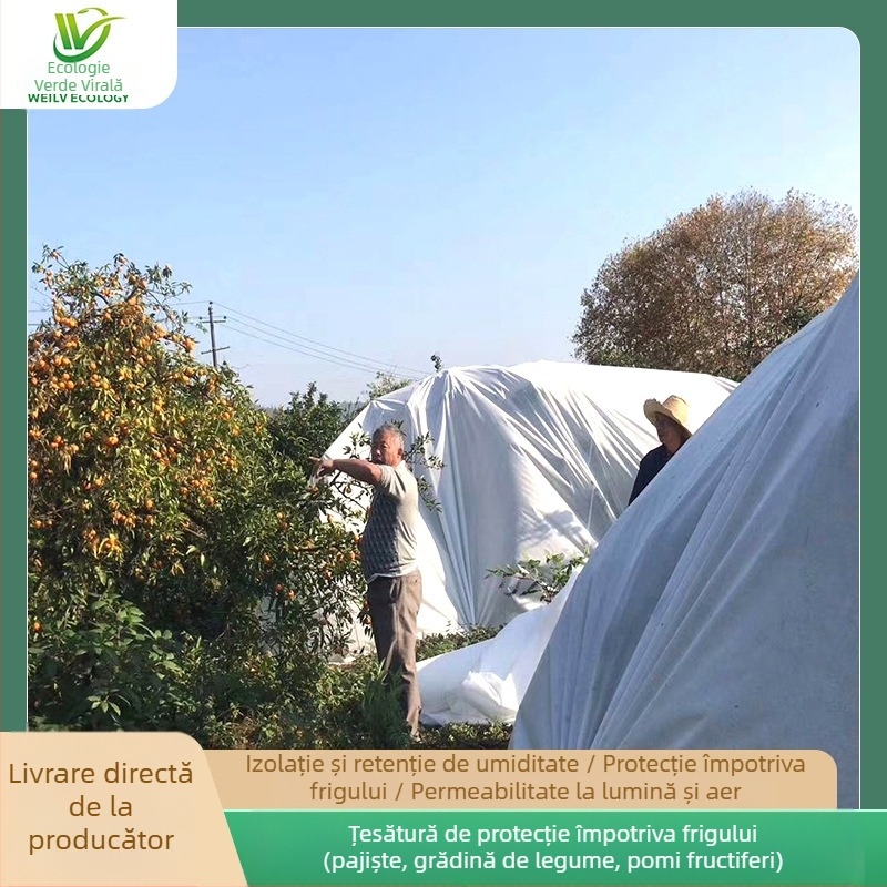 Pânză de protecție pentru grădină împotriva frigului (PP polipropilenă, prelata din plastic, origine Foshan)