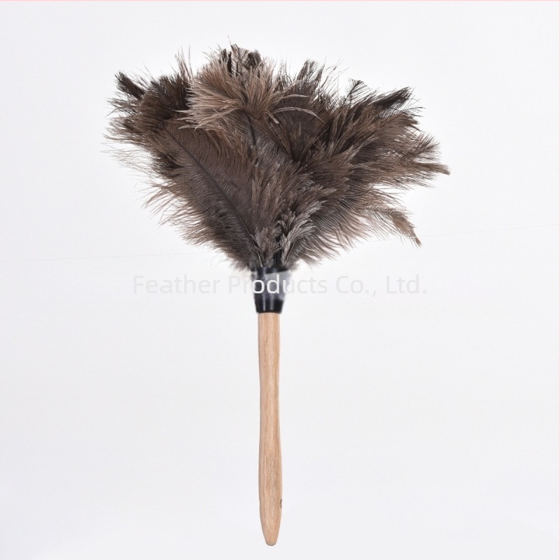 Dust Duster cu pene de struț domestice, cap rotund — Brand: New Feathers