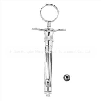 Seringă dentară din oțel inoxidabil, cap cu cârlig drept (Material: Oțel inoxidabil; Tip: Pachet de îngrijire orală; Reutilizabil: Da; Duritate: Mare)