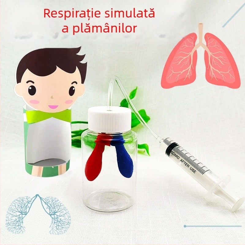 Model educațional din plastic pentru simularea respirației, biologie/chimie, asamblare DIY, pentru copii 7–14 ani, Honeycomb Maze