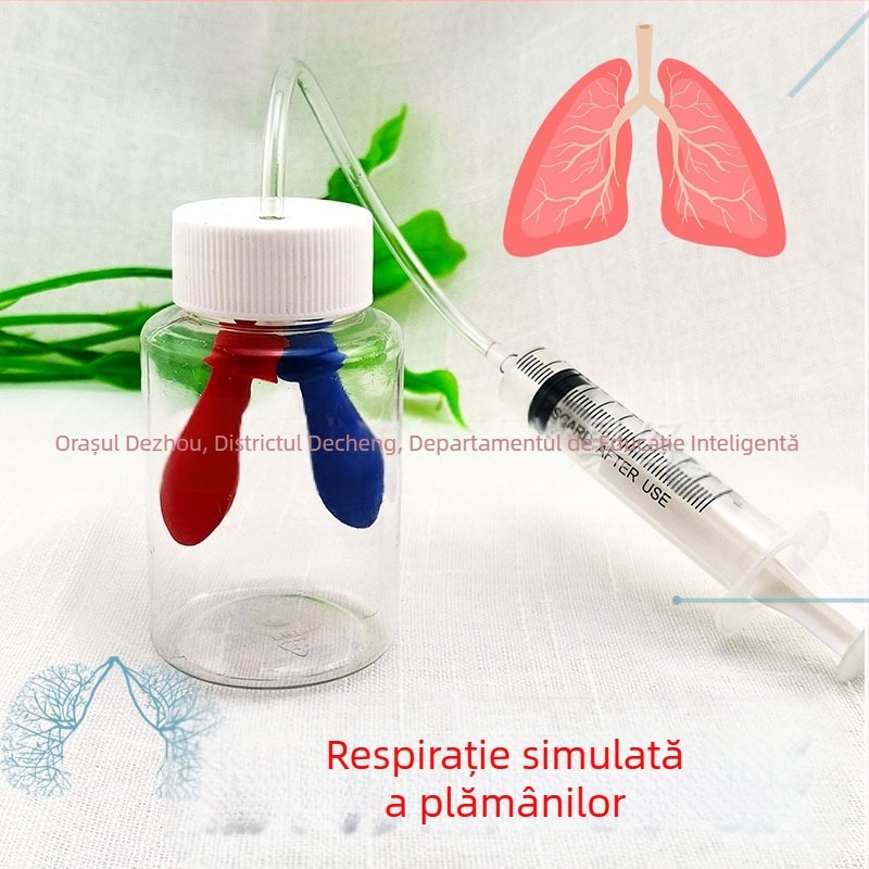 Model educațional din plastic pentru simularea respirației, biologie/chimie, asamblare DIY, pentru copii 7–14 ani, Honeycomb Maze