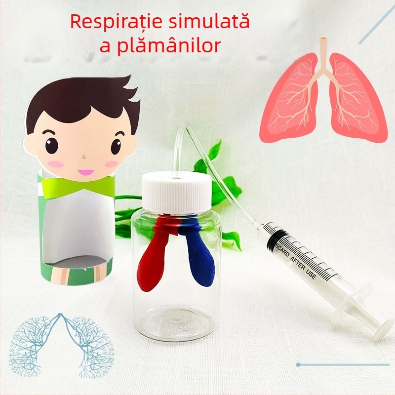 Model educațional din plastic pentru simularea respirației, biologie/chimie, asamblare DIY, pentru copii 7–14 ani, Honeycomb Maze