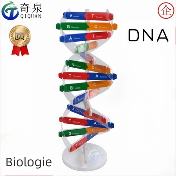 Model ADN dublă spirală — kit DIY ABS pentru biologie, pentru vârsta 7–14, brand Qiquan