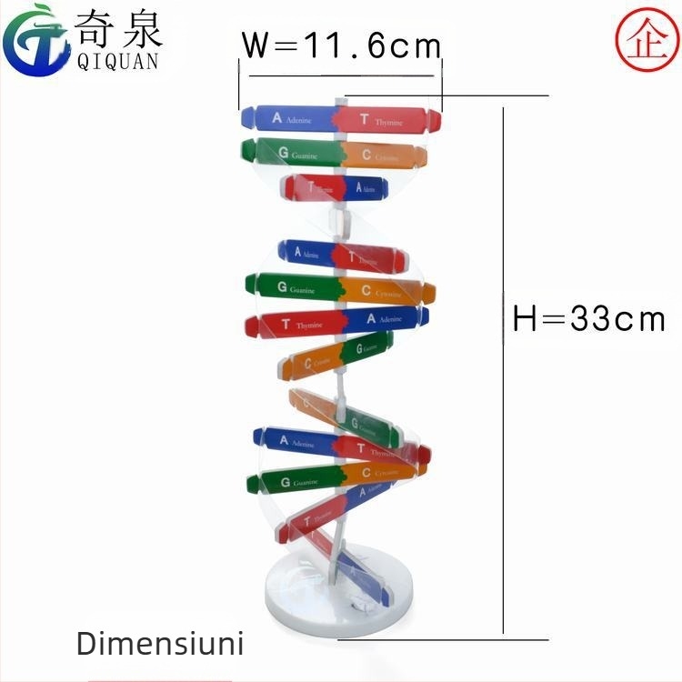 Model ADN dublă spirală — kit DIY ABS pentru biologie, pentru vârsta 7–14, brand Qiquan