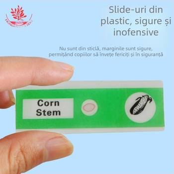 Specimen biologice din PVC Mangrove, set de 12 pentru lamele de microscop, animale și plante