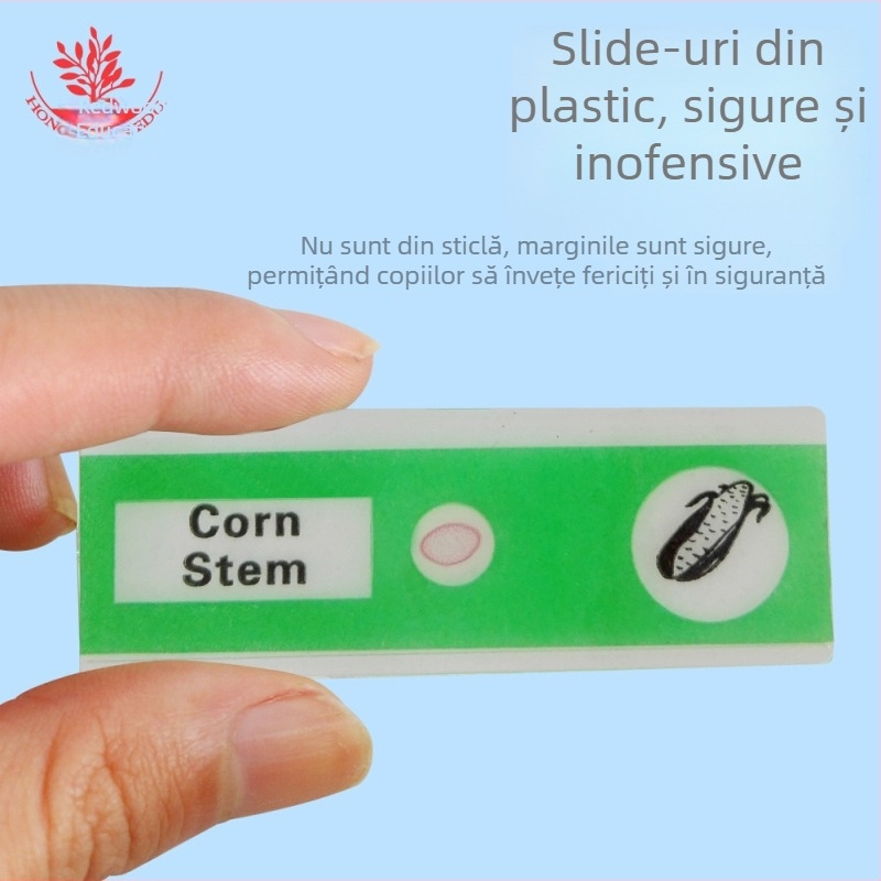 Specimen biologice din PVC Mangrove, set de 12 pentru lamele de microscop, animale și plante