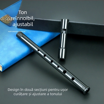 Flaută Schwinger în cutie din plastic pentru instrumente muzicale