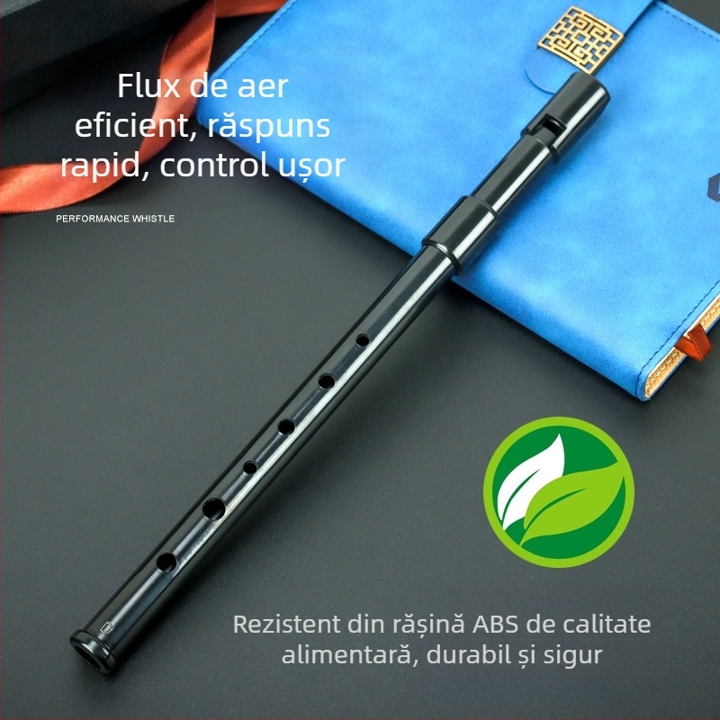 Flaută Schwinger în cutie din plastic pentru instrumente muzicale