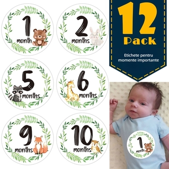 Cuvertură milestone cu etichete lunare, meșteșuguri din hârtie; personalizabilă cu logo tipărit; etichetă privată licențiată; potrivită pentru nou-născuți și viitoare mămici