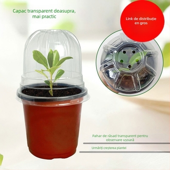 Tavă plastică pentru răsaduri, tip podea, pentru grădină de acasă