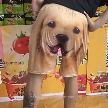 Șorturi de plajă pentru bărbați cu imprimeu 3D cap de Golden Retriever (Material: amestec poliester-bumbac; Material principal: 70% poliester; Lungime: jumătate de lungime; Croială: dreaptă; Stil: preppy)