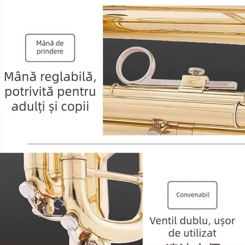 Trompetă JBTR-300 Down-B, placată cu aur, pentru începători – instrument din alamă pentru fanfară școlară