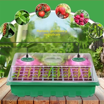 Cutie pentru răsaduri, din plastic, pentru răsaduri, Chengguan