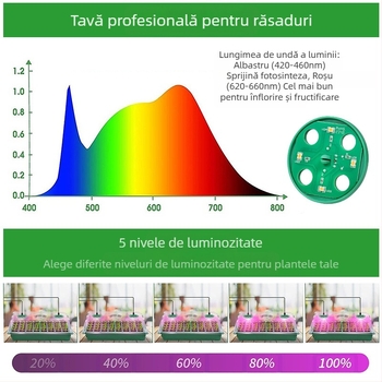 Cutie pentru răsaduri, din plastic, pentru răsaduri, Chengguan