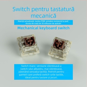 ITLY carcasă pentru switch mecanic de tastatură — switch de axă (model), cablu, lansare în 2024