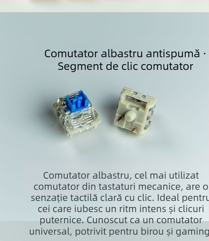 ITLY carcasă pentru switch mecanic de tastatură — switch de axă (model), cablu, lansare în 2024