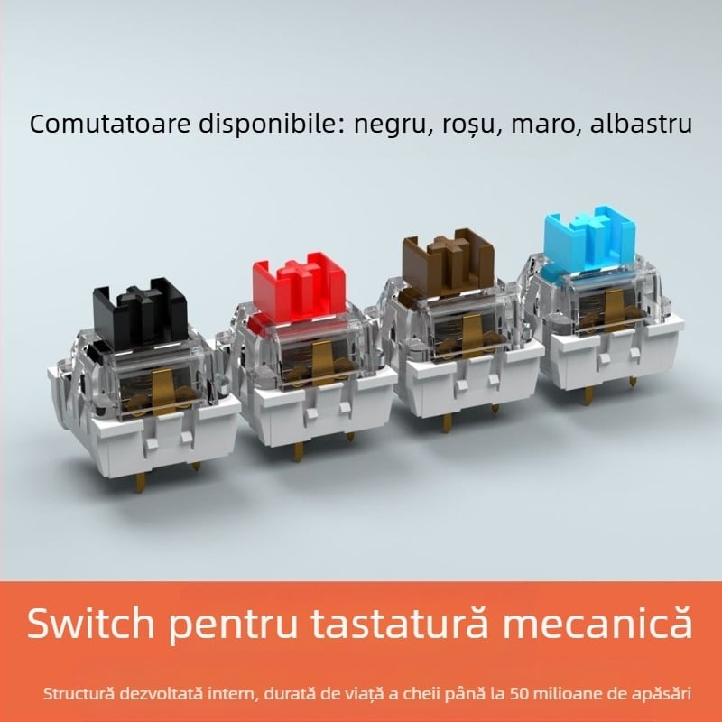 ITLY carcasă pentru switch mecanic de tastatură — switch de axă (model), cablu, lansare în 2024