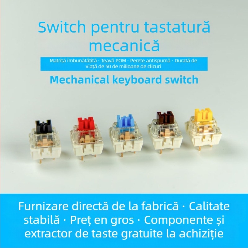 ITLY carcasă pentru switch mecanic de tastatură — switch de axă (model), cablu, lansare în 2024
