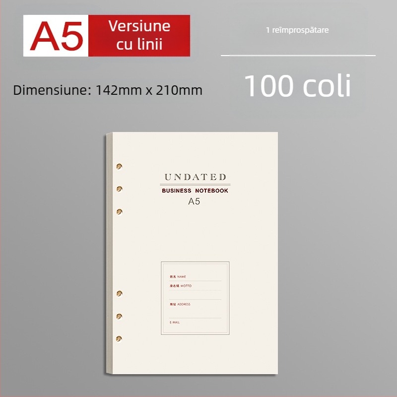 Nucleu de înlocuire pentru foi B5 cu linii groase, 100 de foi, compatibil cu găuri 6/9, foi interioare din hârtie Forest