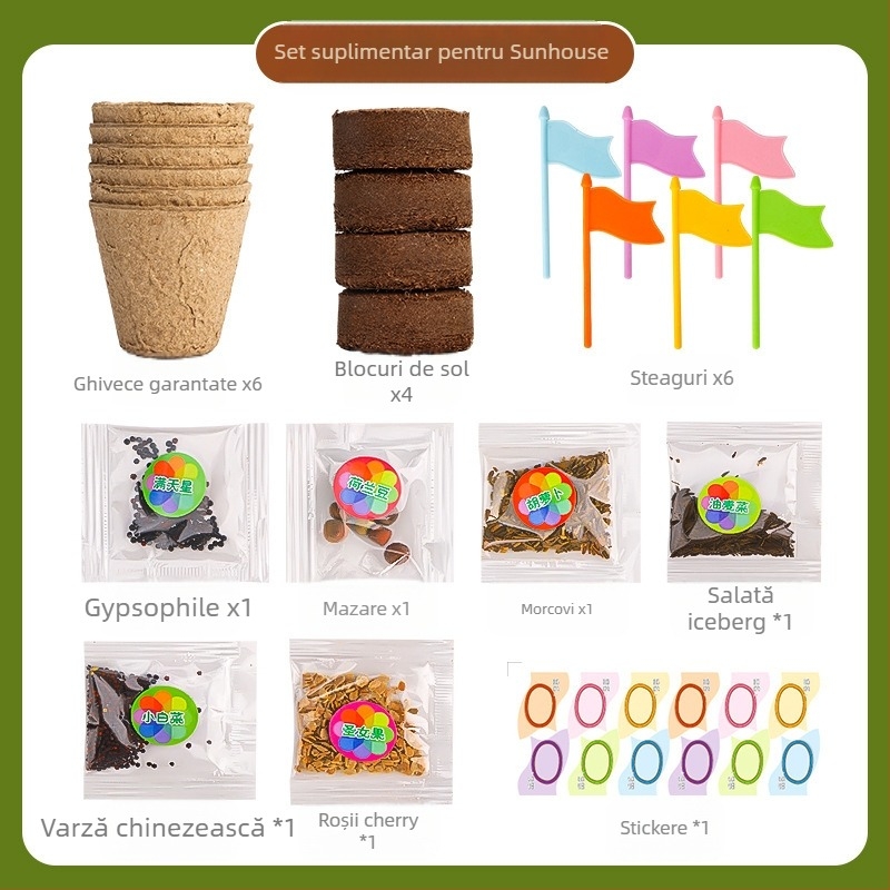 Kit DIY pentru Observarea Creșterii Plantelor - Plastic, Multifunțional, Non-Electric, pentru copii 4–6 ani