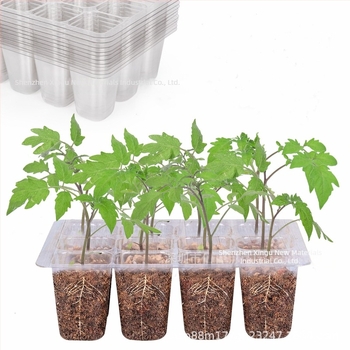 Tavă de răsaduri din plastic, cu 6/12 găuri, respirabilă și transparentă, pentru cultivare în seră