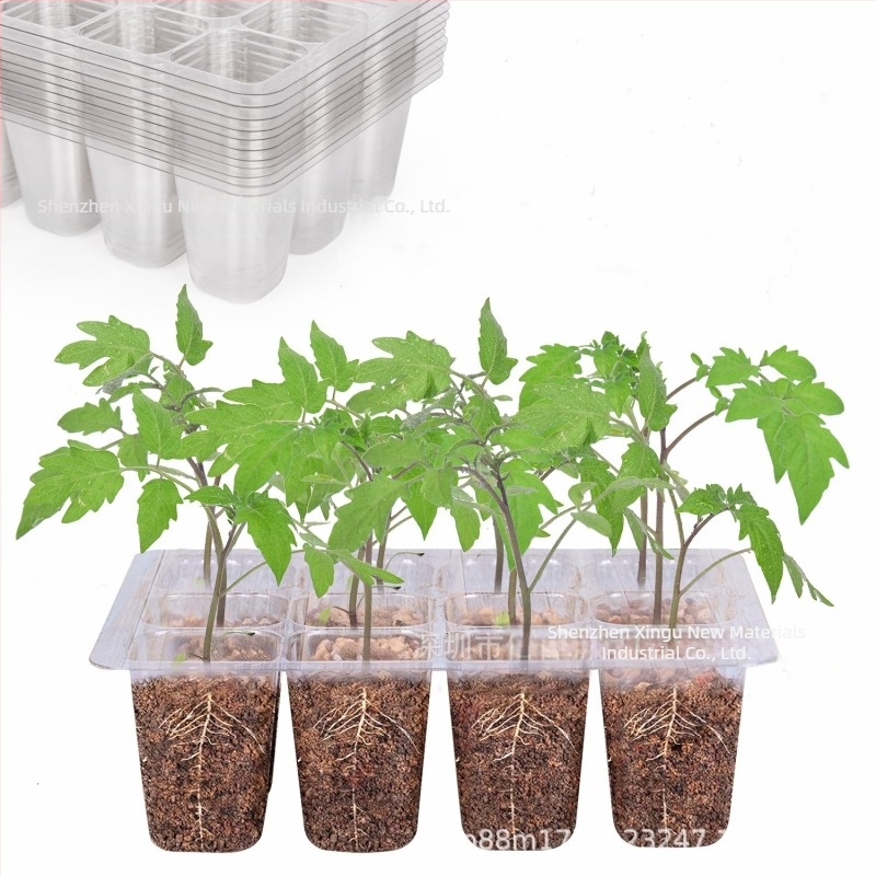 Tavă de răsaduri din plastic, cu 6/12 găuri, respirabilă și transparentă, pentru cultivare în seră